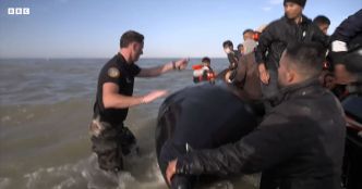 Pas-de-Calais : des gendarmes français crèvent au couteau une embarcation gonflable avec des migrants à bord