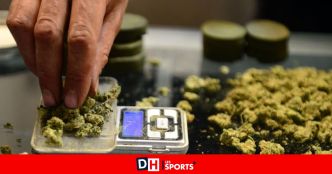 En pleine perquisition chez Mehdi, pour un autre dossier, les policiers sentent une forte odeur de cannabis