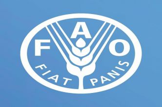 L'Égypte élue présidente du Conseil exécutif de la FAO