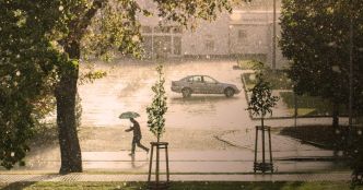 "Un nombre record d'épisodes de vigilance orange ou rouge pour pluie-inondation" : Météo-France livre un bilan annuel alarmant sur 2024