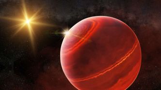 Vous aussi vous pouvez aider la Nasa à découvrir une exoplanète avec un eVscope  !