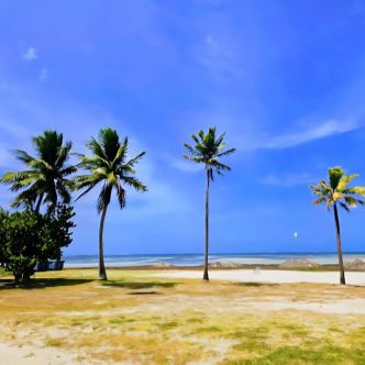 L’image du jour 04/06/25 -Pointe Faula -Vauclin- Martinique