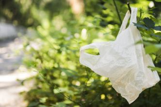 Journée mondiale sans sac plastique : En Guadeloupe, les habitudes ont la vie dure même si le cabas séduit de plus en plus