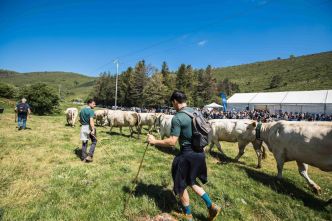 La transhumance est-elle une pratique menacée ?