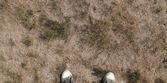 Pelouse qui a séché : 9 astuces de jardinier pour la sauver !
