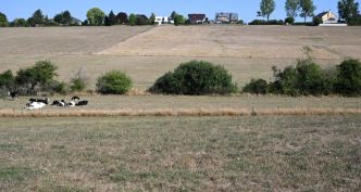 Réchauffement climatique : «Si on agit vite, il y a encore des chances de rester à +1,5 °C»