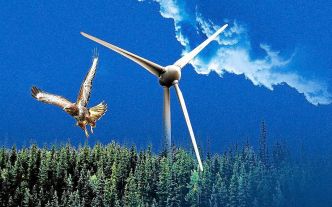 Les éoliennes sont-elles vraiment un danger pour la biodiversité ?