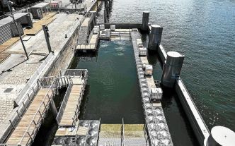 Après un siècle d'interdiction, la baignade pour tous s'ouvre dans la Seine