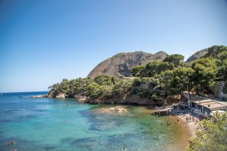 Vidéo | Des enfants créent une réserve marine pour protéger la biodiversité dans les calanques