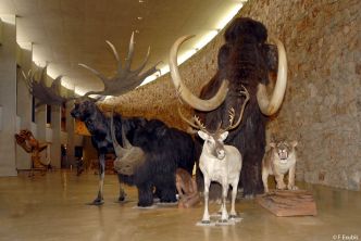 Une grande journée d'animations sur la Préhistoire au musée de Quinson