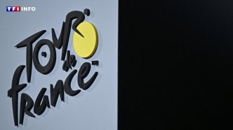 Tour de France 2025 : maillot jaune, victoire d'étape... combien vont gagner les coureurs ? | TF1 INFO