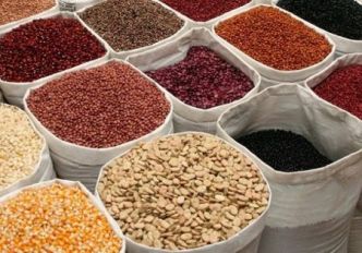 Agriculture et agro-industrie africaines : le Top 5 des infos marquantes de la semaine