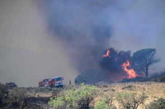 Incendie « d'ampleur » près de Marseille : 100 hectares ravagés et 150 personnes évacuées ce samedi