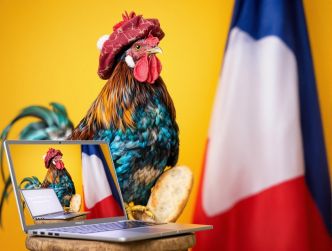 On se pose tranquillement pour un petit récap'