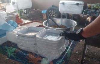 La vaisselle jetable en plastique est interdite en Polynésie depuis le 1er juillet