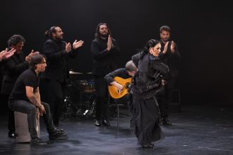 Avec Arte Flamenco, l'Andalousie conquiert Mont-de-Marsan