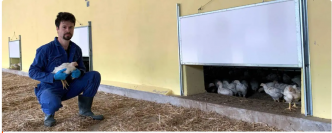 L'agriculture face à la prochaine vague d'abandon ? Les éleveurs de poules pondeuses bio mettent en garde contre une nouvelle règle en Allemagne