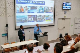 "L'entreprise a un rôle essentiel à jouer dans le développement de la Martinique" [Contact-Entreprises]