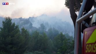 Incendie dans les Bouches-du-Rhône : un feu "d'ampleur" parcourt 100 hectares, 150 personnes évacuées | TF1 INFO
