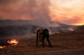 La Californie touchée par un important incendie : le Madre Fire a ravagé près de 283 kilomètres carrés