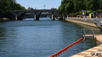 "C'est un rêve de gosse"... Se baigner dans la Seine, c'est maintenant possible ! Les premiers nageurs ont fait leur entrée dans l'eau, sous étroite surveillance