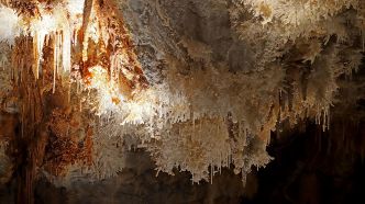 Ces cristaux mystérieux du Gouffre de Cabrespine n'avaient jamais été montrés au public
