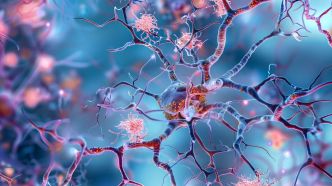 Maladie d'Alzheimer et virus de l'herpès : un lien qui prend de plus en plus de sens ?
