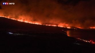 Sécheresse et canicule : l'Europe frappée par des incendies meurtriers | TF1 INFO
