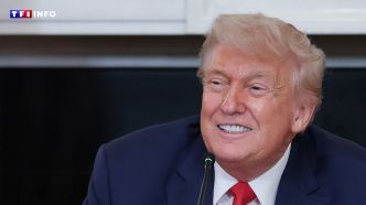 "J'ai eu les 6 premiers mois de mandat les plus réussis" : pour le 4-Juillet, Trump s'autocongratule | TF1 INFO