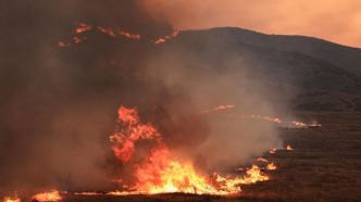Californie : le plus grand incendie de forêt de l'année s'étend sur plus de 28 300 ha