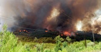 Incendies dévastateurs sur la côte syrienne