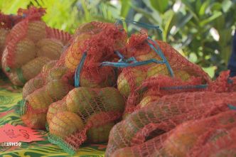 VIDÉO. Canala met à l'honneur ses fruits à ses traditions lors de sa 24e Fête de la mandarine