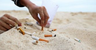 Cigarettes interdites à la plage : "Quand nous mangeons du poisson, nous mangeons aussi des mégots"