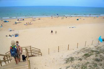 Les plus belles plages des Landes. Lespecier, la plage sauvage de Mimizan