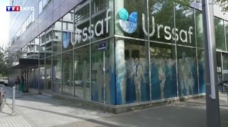 Travail dissimulé : comment l'IA permet aux agents de l'Urssaf de mieux cibler les fraudeurs | TF1 INFO