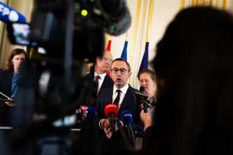 Appel à la fin des subventions à l'éolien et au solaire : Retailleau et les macronistes à couteaux tirés