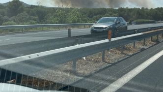 200 pompiers et quatre Canadair engagés : un important incendie se déclare en bordure d'autoroute A9 à Fabrègues
