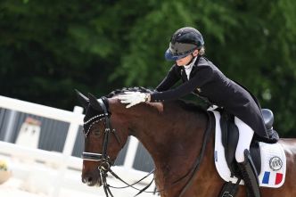 Lightning Star RR, l’étoile montante du dressage français