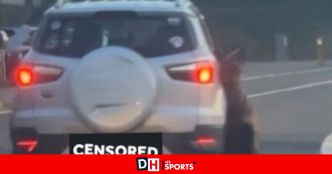 Chien traîné par une voiture à Dalhem : le propriétaire se livre et plaide l'accident, "une enquête est en cours", nous assurent les autorités locales