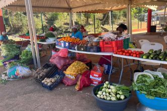 Le retour de quelques légumes après Chido redonne des couleurs au marché d'Hajangoua