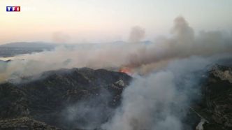 "Les flammes faisaient 10 mètres" : près de Marseille, des habitants surpris en pleine nuit par un important incendie | TF1 INFO