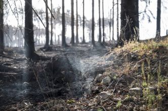Risques d'incendies : pourquoi les fortes chaleurs augmentent-elles le danger ?