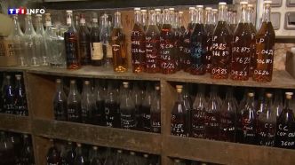 "On a été pris en otage" : soulagement chez les producteurs de cognac français après un accord avec la Chine | TF1 INFO