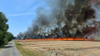Un feu de chaume brûle environ 4,5 hectares à Peyruis, un hangar protégé des flammes
