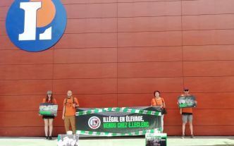 L214 mène une action devant un Leclerc du 9e arrondissement de Lyon