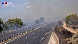 Incendie dans l'Hérault : l'autoroute A9 coupée dans les deux sens | TF1 INFO