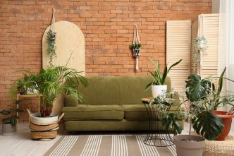 L'astuce géniale (et oubliée) pour arroser vos plantes pendant les vacances sans dépenser un centime