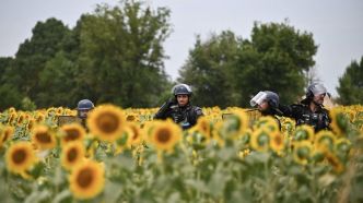 Incidents aux abords du chantier de l'A69 : tirs de lacrymogène et jets de pierre entre manifestants et forces de l'ordre