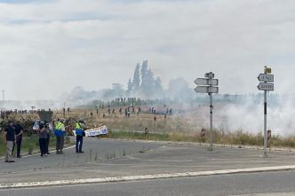Rassemblement contre l'A69 : gaz lacrymogène et jets de pierre entre manifestants et forces de l'ordre