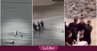 Un adolescent de 16 ans se fait violemment attaquer par un requin lors de ses vacances (VIDEO)